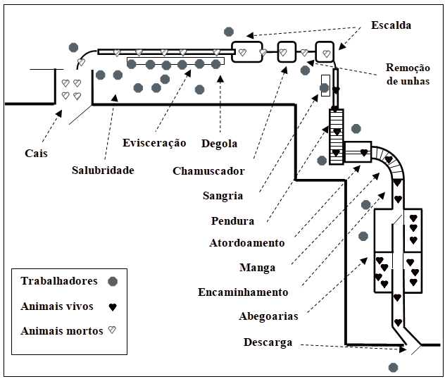 Ciclo de operações em matadouro