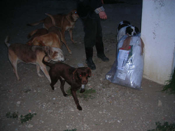 Entrega da ração ao Núcleo dos Animais Abandonados de Sintra