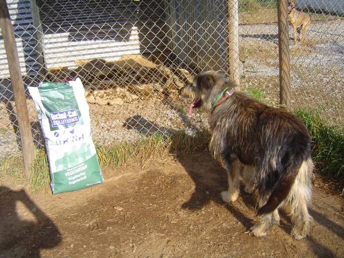 Entrega da ração à Animais da Quinta