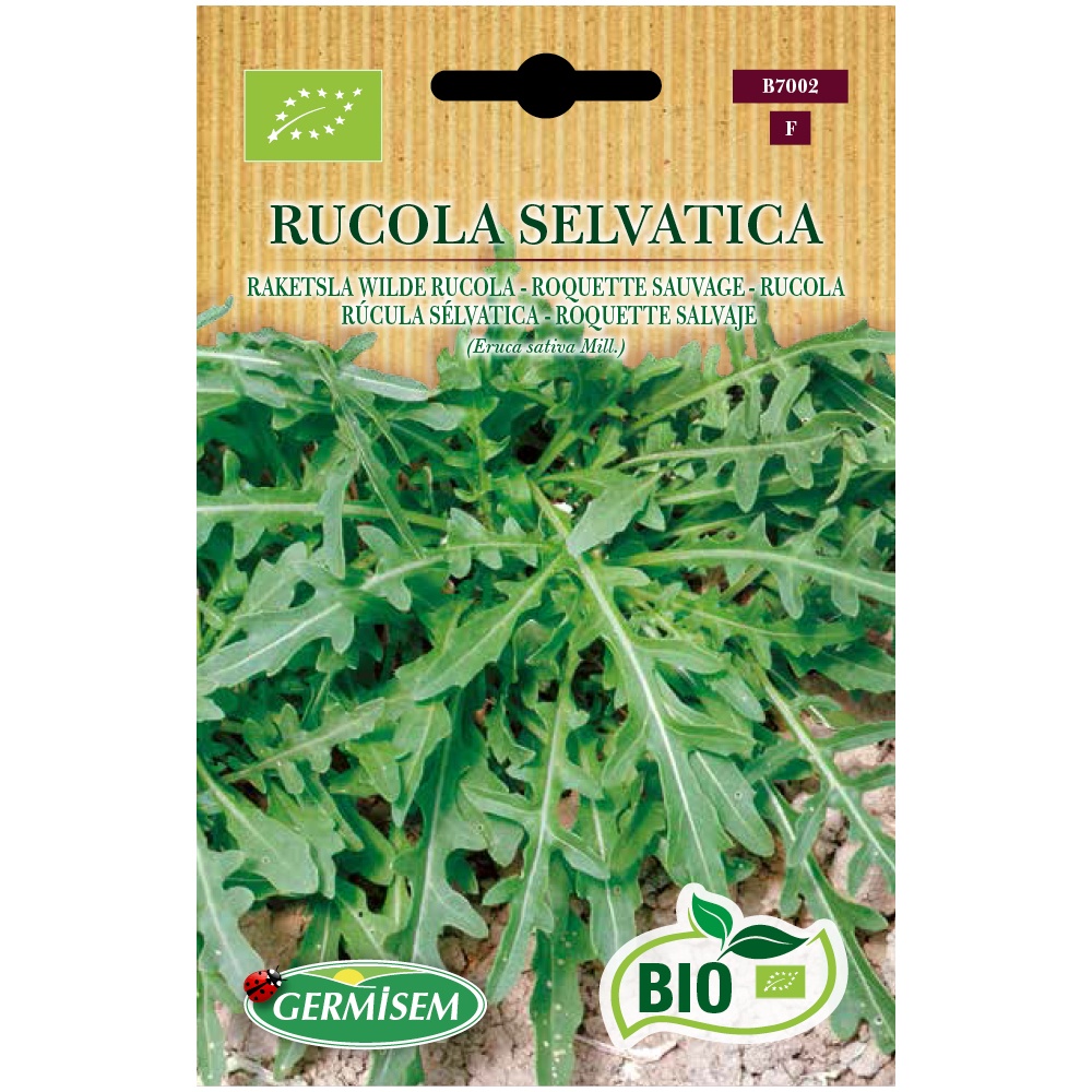 Sementes de Rcula Selvagem BIO