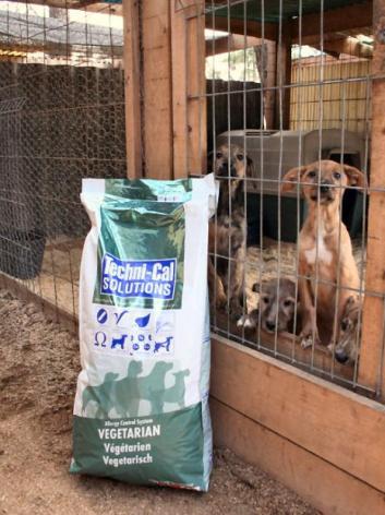 Ração Vegetariana na Associacao Almada